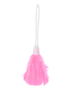 Feather Duster